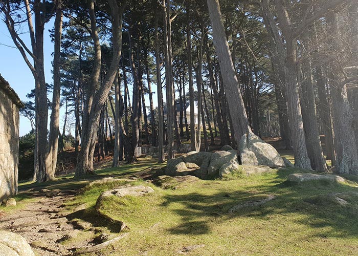 Camping à Trédrez-Locquémeau | Camping de Keravilin**